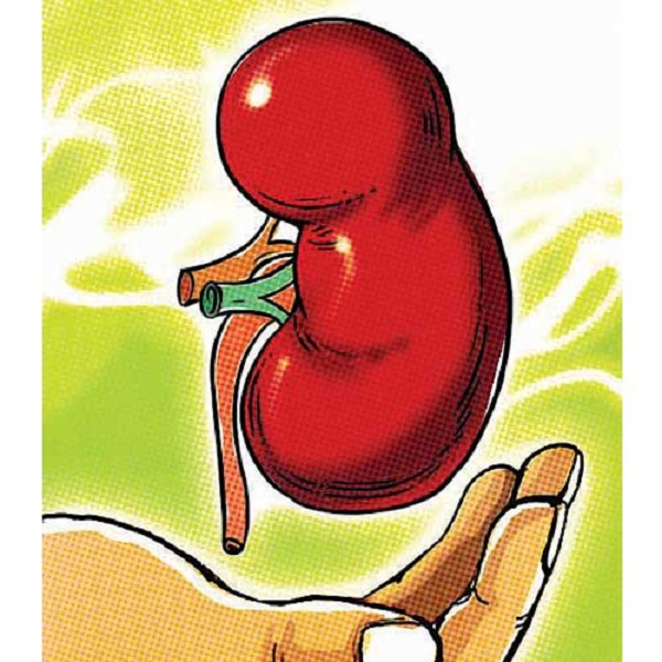 heartburndrugscandamageyourkidney